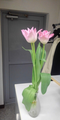 カウンターの花
