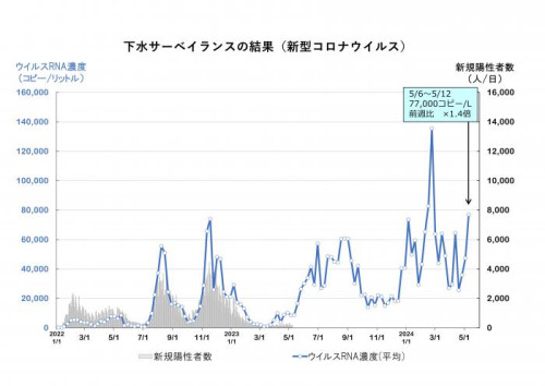 graph240515.jpg