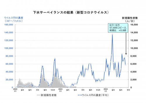 graph240612.jpg