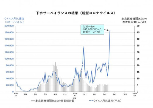 graph240806.jpg