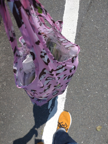 自己破産をしたおじさん202505141.JPG