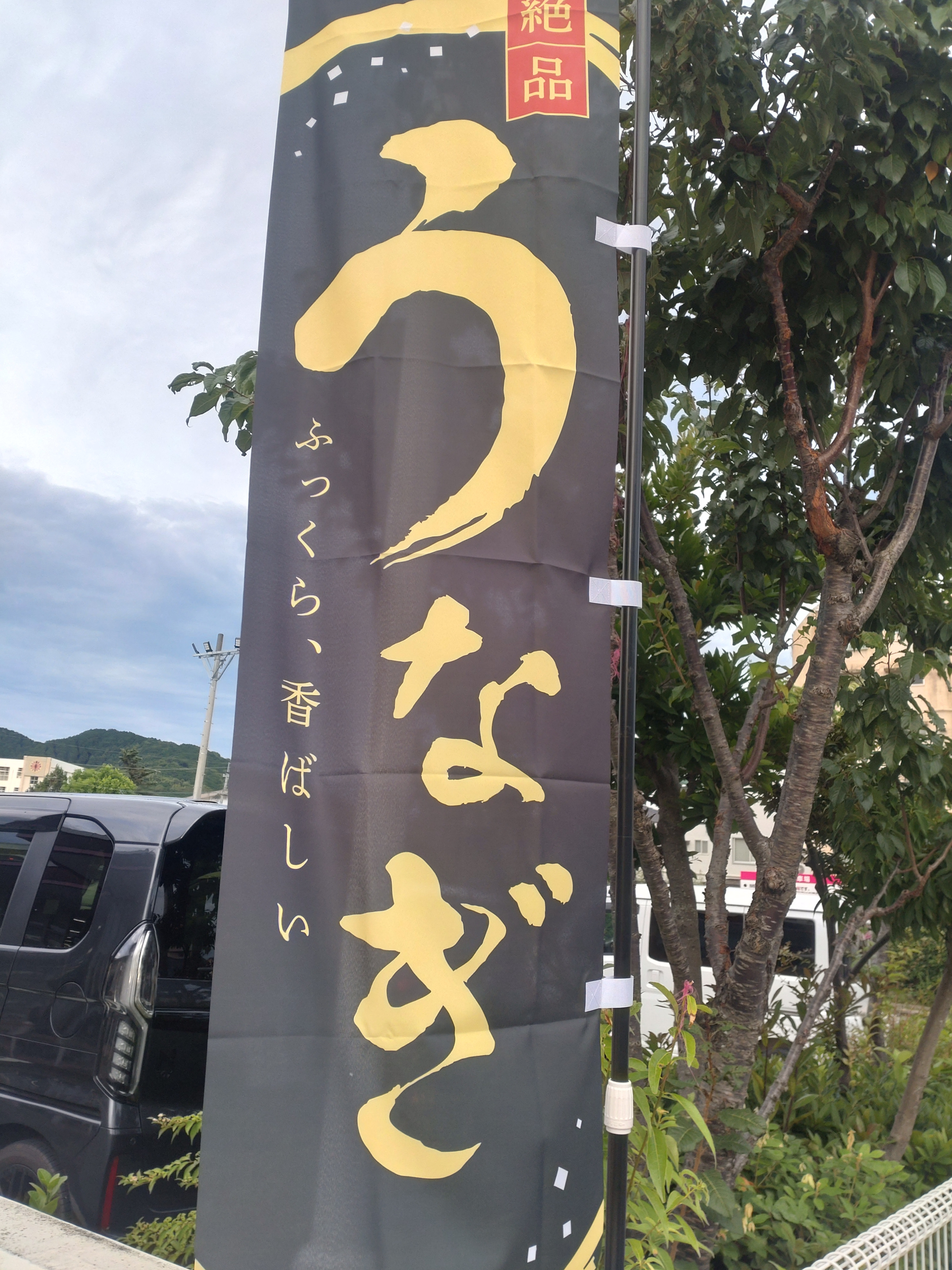 鰻食べたいな~【自己破産をしたおじさんの暇つぶし】