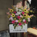 DSCN3116.JPG