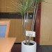 DSCN3117.JPG