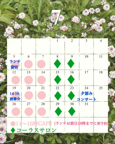 IMG_8723.jpeg