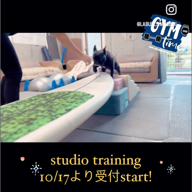 10月17日よりスタジオトレーニング受付開始！