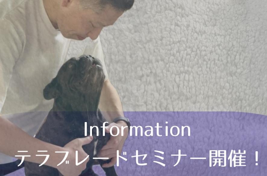 露木俊治先生のイベント開催予定のお知らせ