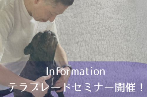 2026年5月　露木俊治先生のイベント開催予定のお知らせ