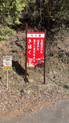 IMG_1599.jpeg