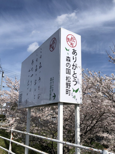 IMG_8699.jpeg