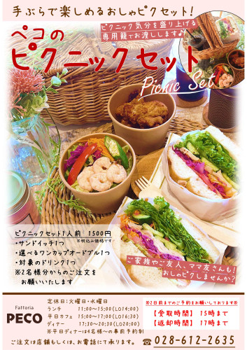 ピクニックセット.jpg