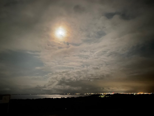 IMG_6387.jpeg