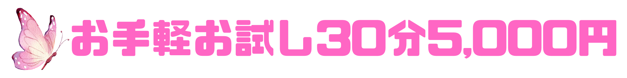 段落テキスト - 2025-06-01T165037.713.png