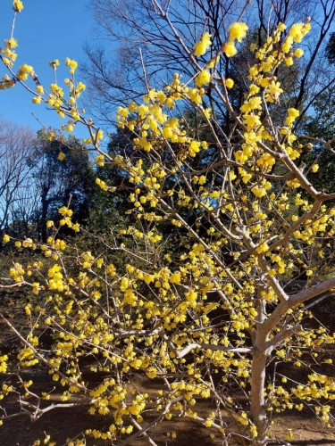 2／5(木)のアメブロ「学校が苦手なら、なおさら勉強してみよう！」