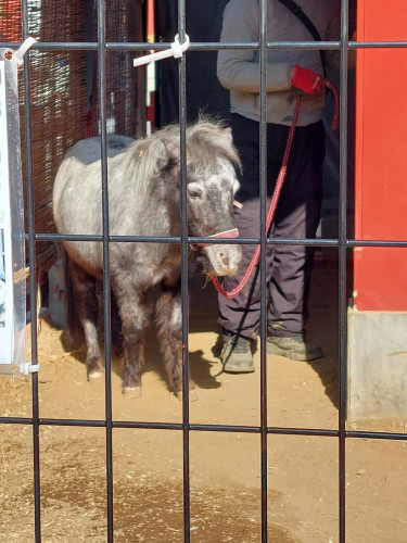 4/7(火)のアメブロ「先取り学習を生かす新学期の過ごし方」