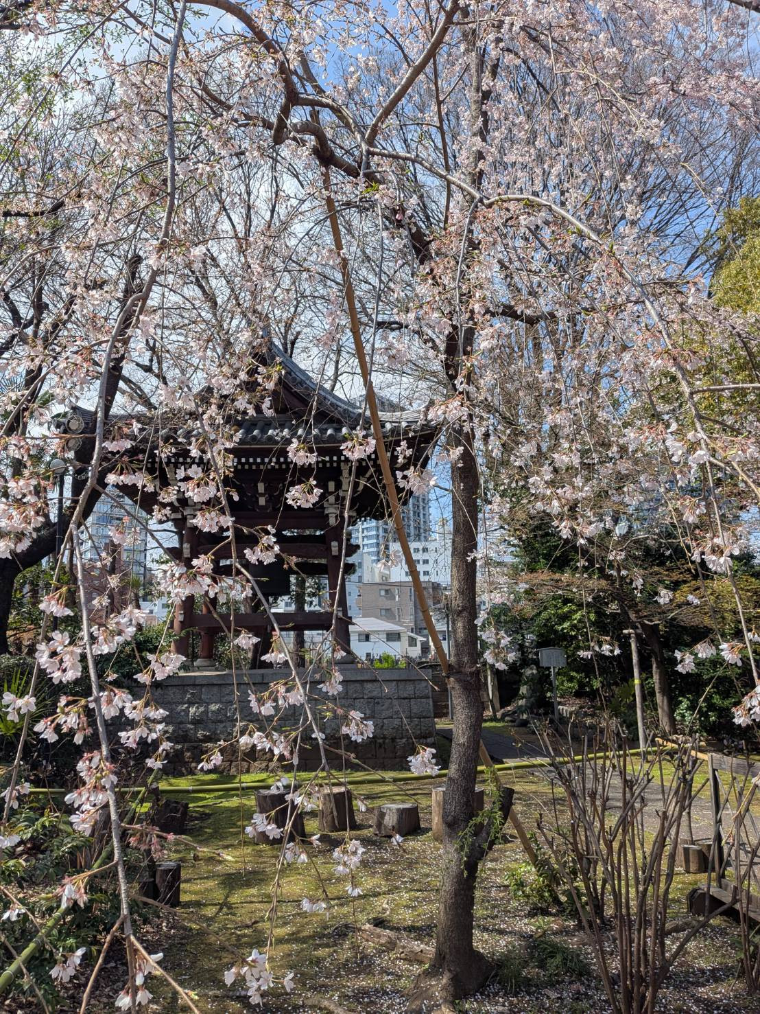 4/21(火)のアメブロ「受験に必要なのは最悪の場合の覚悟」