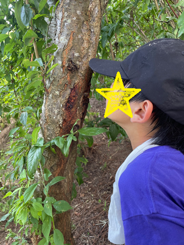 夏休み②ー３.png