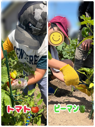 IMG_2827.jpeg