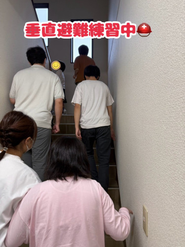 IMG_3384.jpeg