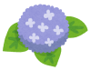 flower_ajisai8_violet.png