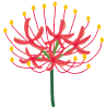flower_higanbana.png