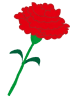 carnation.png