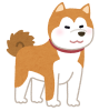 dog_akitainu.png
