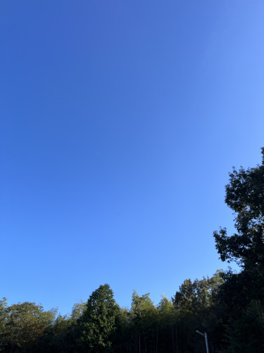 06892942-F552-4B4B-9C81-65DEFEEFECA3.jpeg