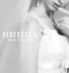bridia2.png