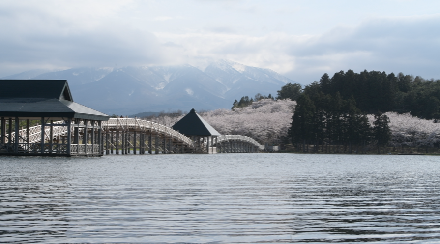 春の富士見湖パーク