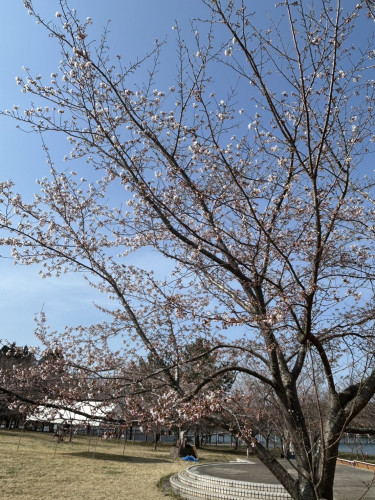 S__168435719_0.jpg