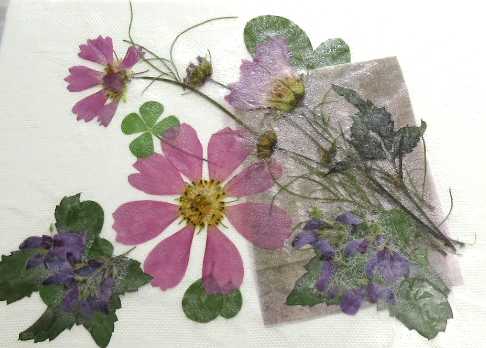 押し花のアート作品　和紙 月と桜 (押し花アート) その他アート スマイル 通販 114596