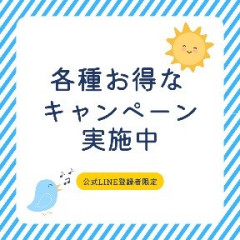 青　ブルー　ストライプ　太陽　鳥　夏　お得　キャンペーン　実施中　Instagram投稿_compressed.jpeg