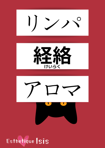 0022D9DA-4EEE-4B64-8A79-68AAA720012E.png
