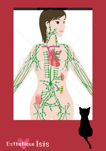 BFA902B0-A47B-4BBA-AC51-D52D4198E46D.png