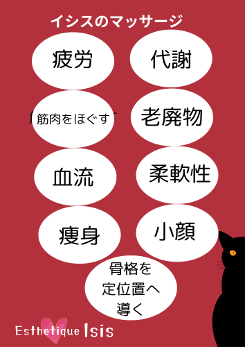 45D02F13-49F8-4AF9-BDFE-AC030CDAA0E3.png