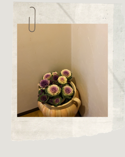 Neutral Geometric Photo Frame Portrait Instagram Post.png