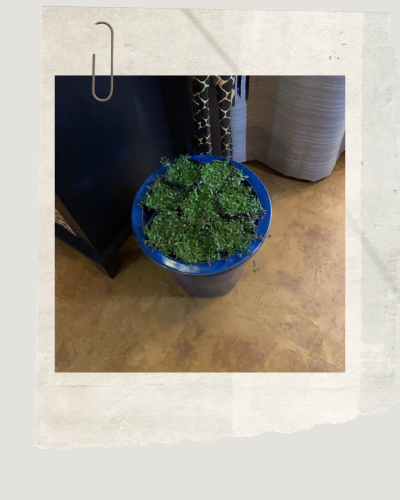 Neutral Geometric Photo Frame Portrait Instagram Post.png