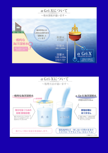 グリーン ピンク シンプル ポップ 春 アイテム Instagramの投稿 (45) (文書(A4)).png