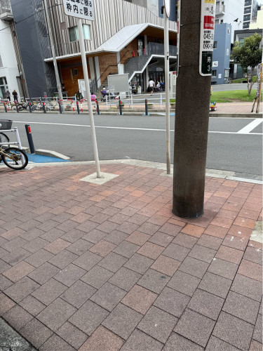 IMG_1905.jpeg