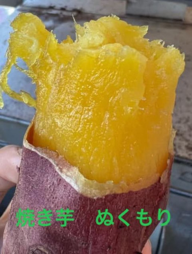 やきいも.jpg