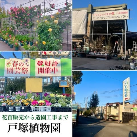 戸塚植物園.jpg