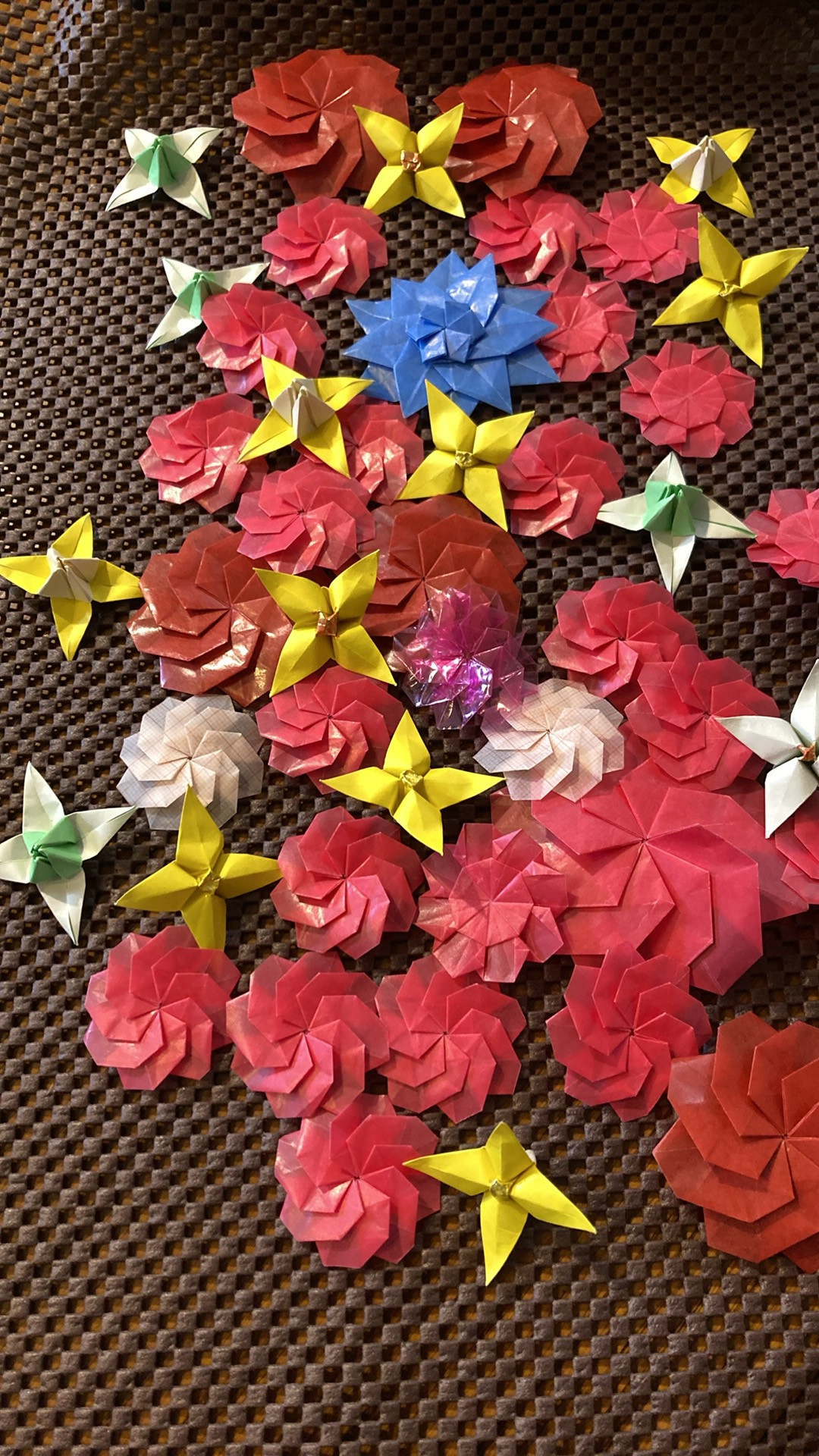 折り紙の花々