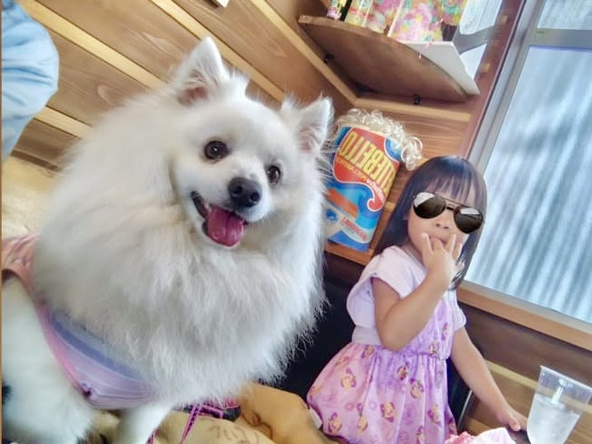 🐾PET FRIENDLY SHOP·͜·ᰔᩚ