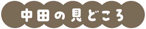 midokoro-nakata01.png
