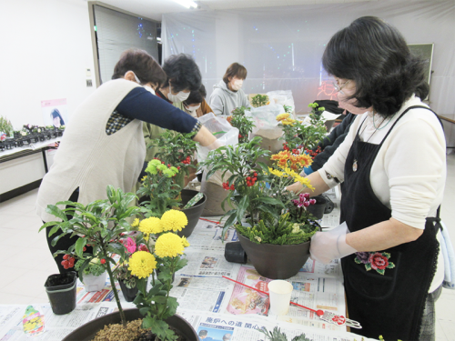 寄せ植え講習会