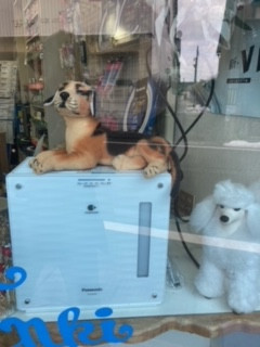 image4.jpeg