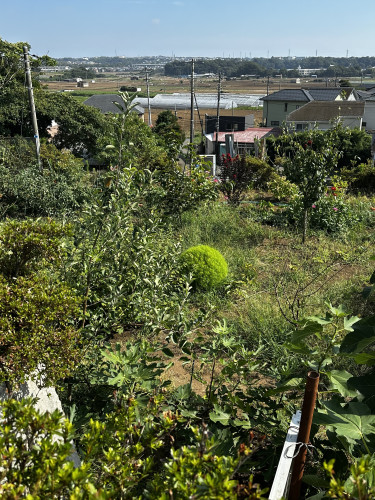 まだまだ暑い