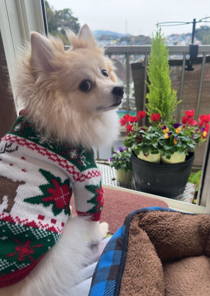 今年もありがとうございました。