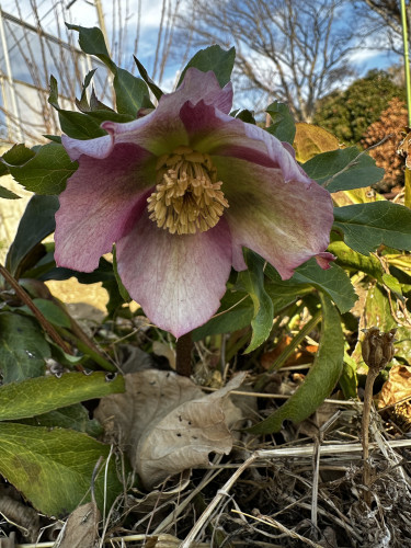 行ったり来たり